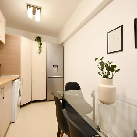 The Chic & Modern - Homey Appartamento Bucarest